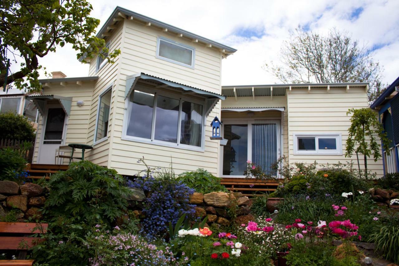 Lotti'S House Albany Exterior photo